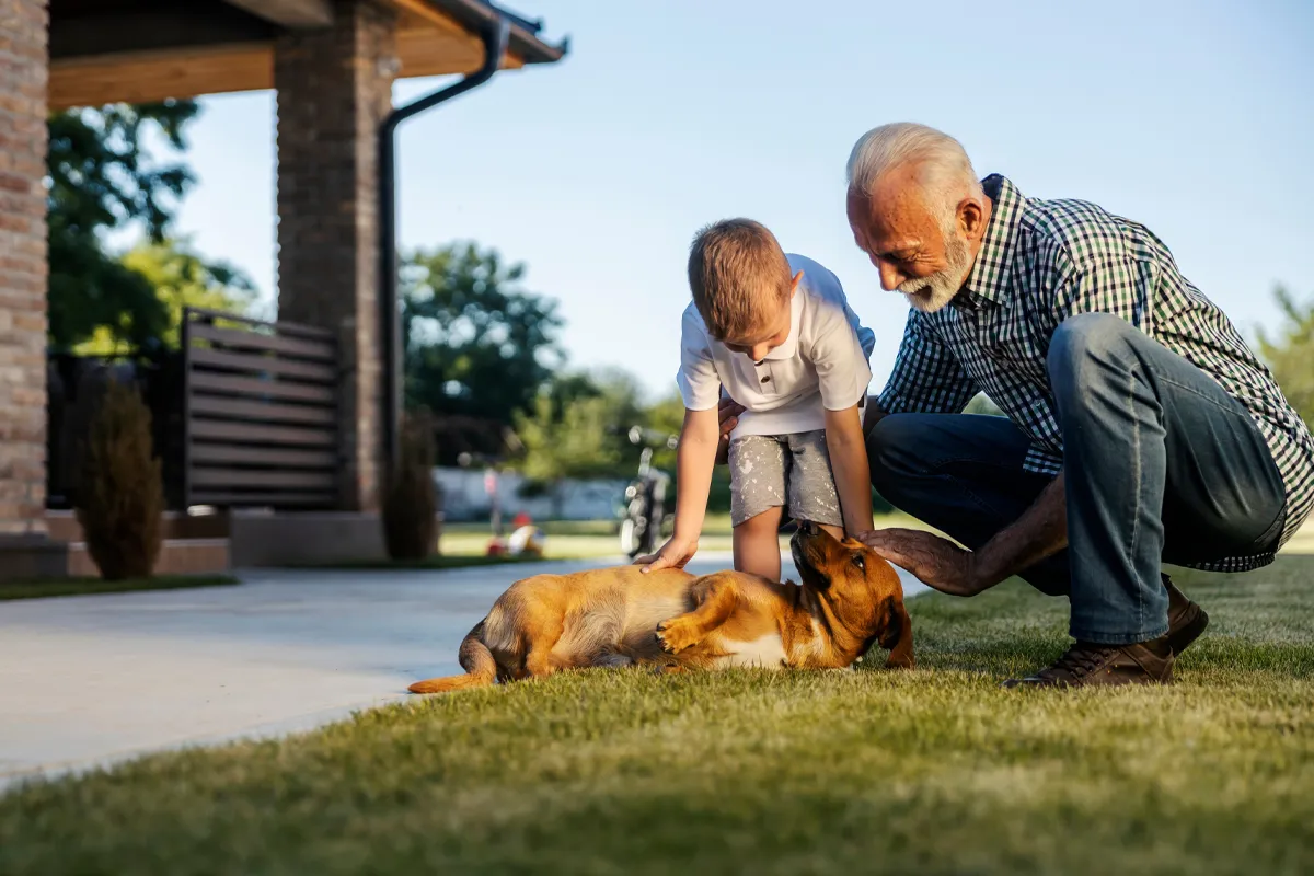 A grandfather and grandson petting a happy dog together in a clean backyard
